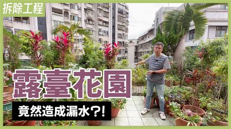 頂樓種花|漏水危機：屋頂花園